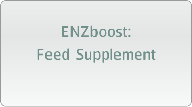 ENZboost: Feed Supplement